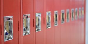 An array of school lockers